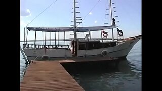 ���้อนลาติน่าผมบลอนด์ได้ของเธอไอ้ระยำสุนัขไม่มีสัญญาณกันขโมยและบนสะพาน