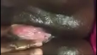 ���ेल बुद्धि dat चकलेट गीला बिल्ली